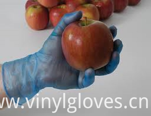 Disposable Food Glove Disposable Food Glove